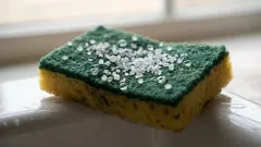 Posypala jsem houbu solí – a výsledek mě nadchl: nepostradatelný domácí trik